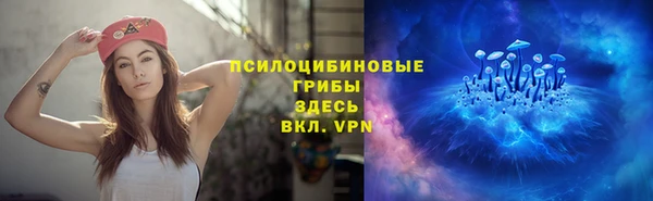 PSILOCYBIN Сафоново