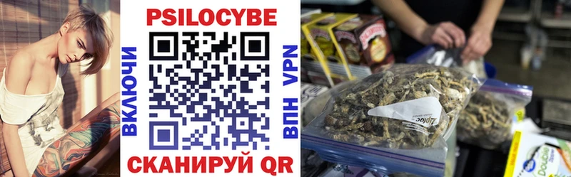 Купить где  Монино  Галлюциногенные грибы Psilocybe 